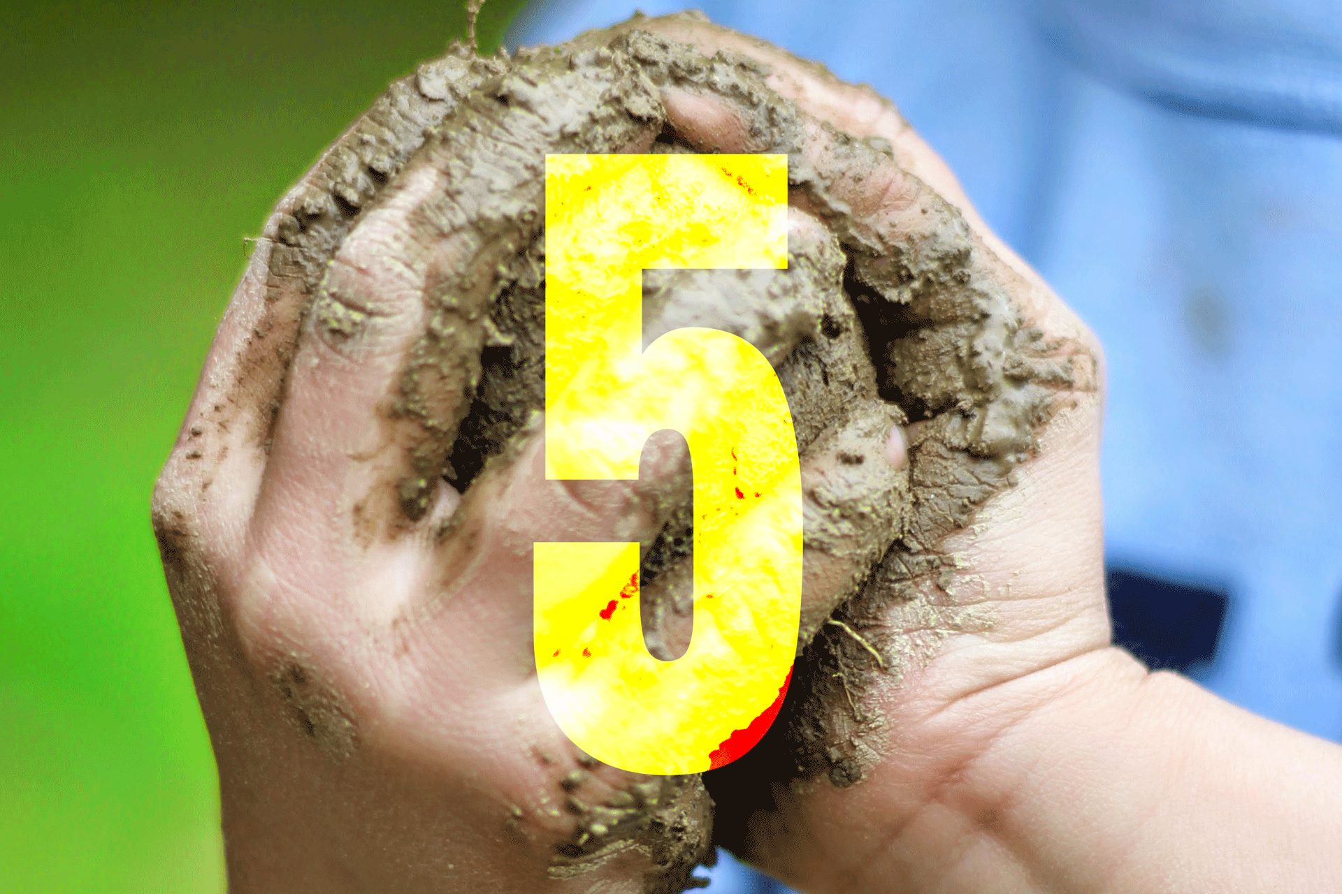 5⃣|名前をつけた そのあとで