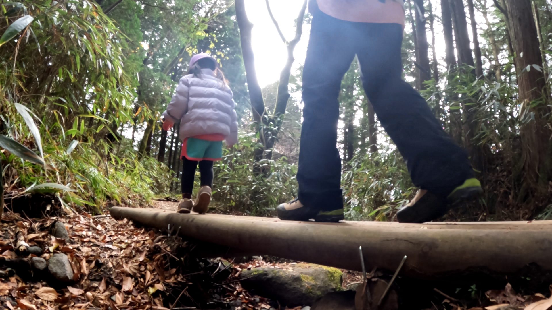 山頂ではなく “4.4km全部がてっぺん”だった